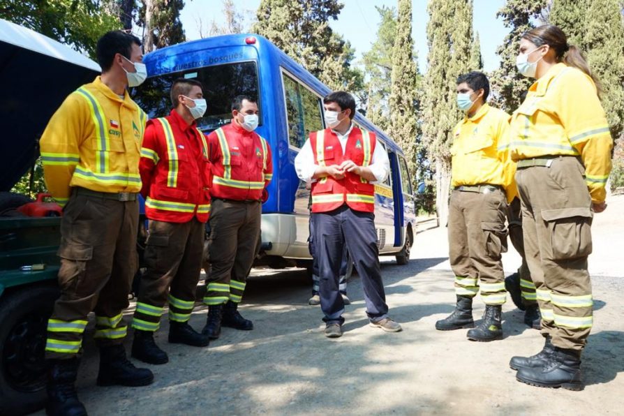 Destacan cifras alentadoras de incendios forestales en el Maule y refuerzan llamado a la prevención