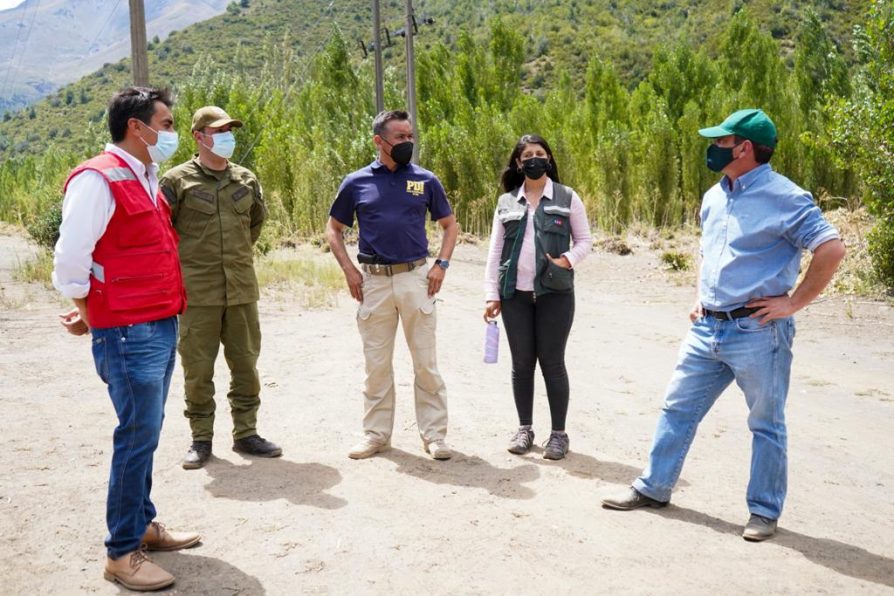 Autoridades participan en liberación de zorritos￼ ￼huérfanos encontrados en Pencahue￼ ￼