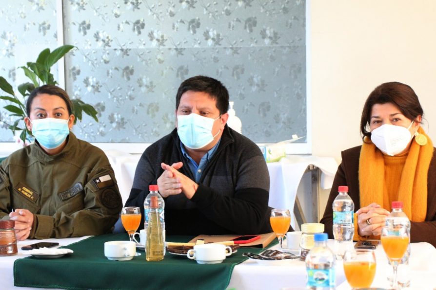 Autoridades revisan medidas aplicadas en sector cordillerano del Maule