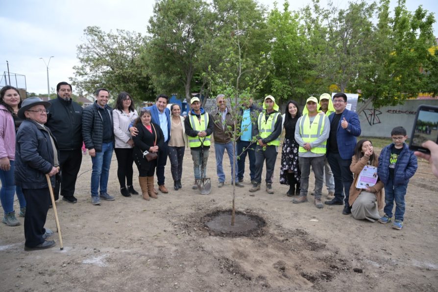 <strong>Comenzaron obras de Parque Camino El Real de Cauquenes </strong>