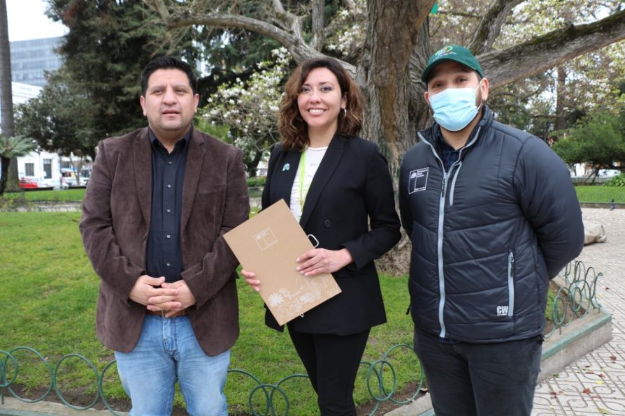 Por segundo día consecutivo se declara Preemergencia Ambiental para Talca-Maule