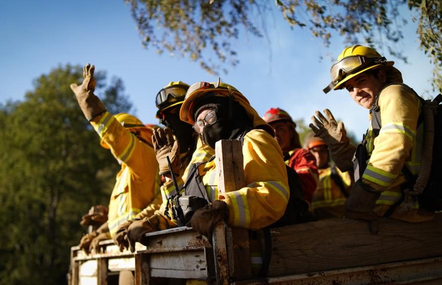 Abren proceso de inscripción a las brigadas forestales