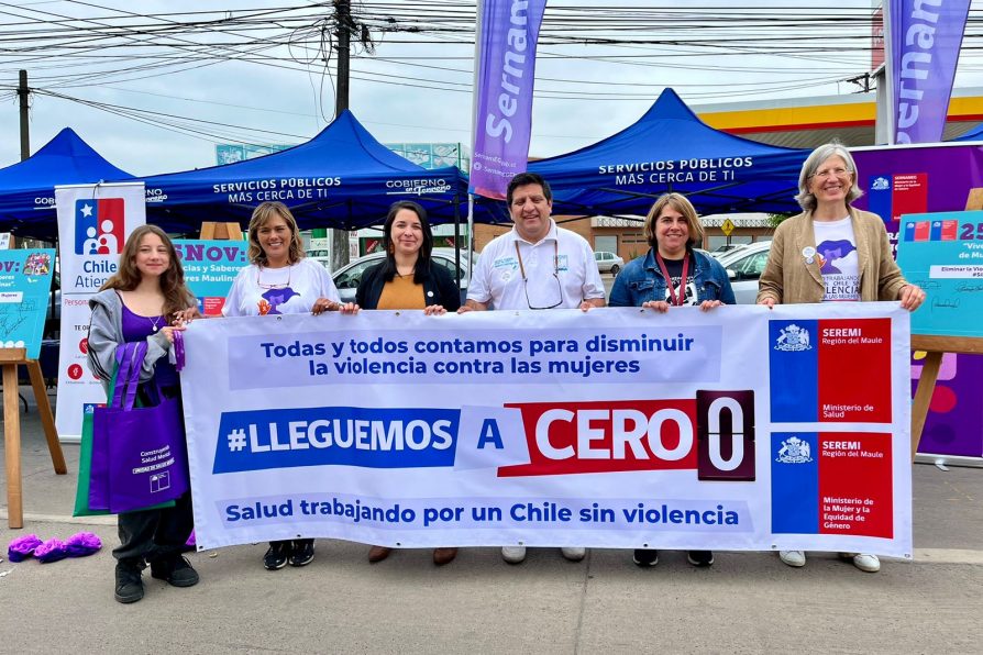 Con “Gobierno en Terreno”: Se conmemoró el Día Internacional de la Eliminación de la Violencia contra la Mujer