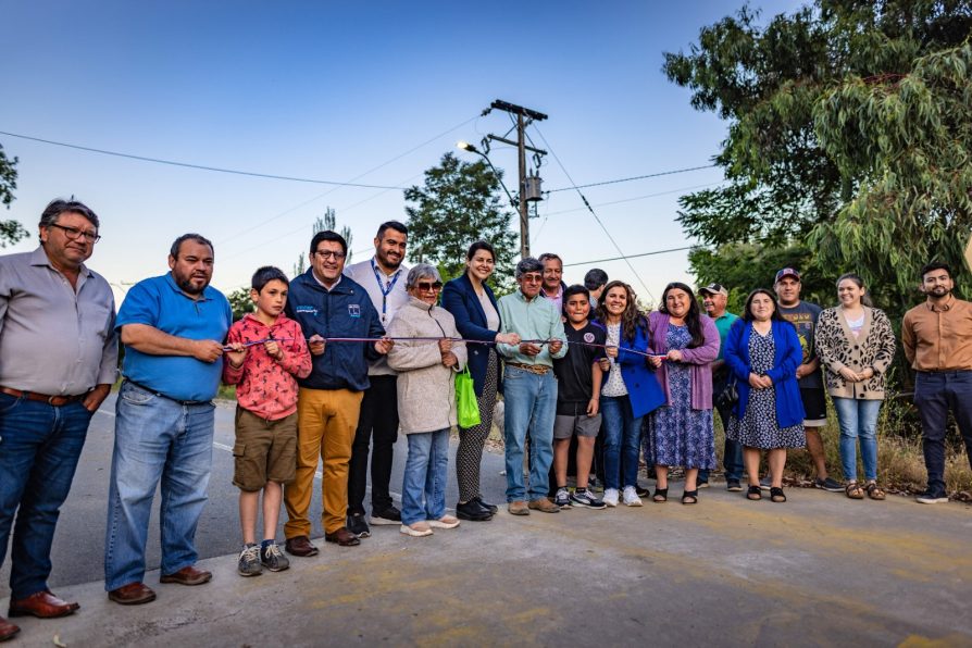 Subsecretaria Francisca Perales inaugura reposición de 531 luminarias públicas en sectores rurales de Hualañé