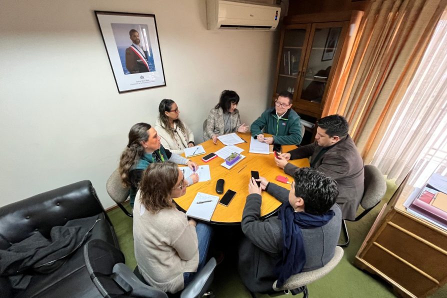 Delegado Regional y SAG trazan cursos de acción por animales en cordillera