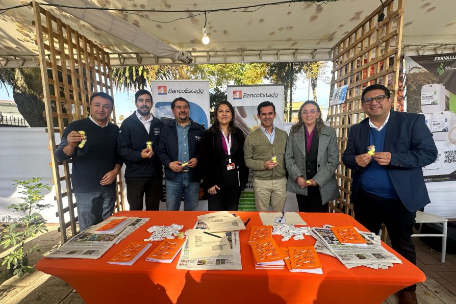 Se destaca a Parral como la comuna mayor productora de arroz del país y con el cereal más austral del mundo