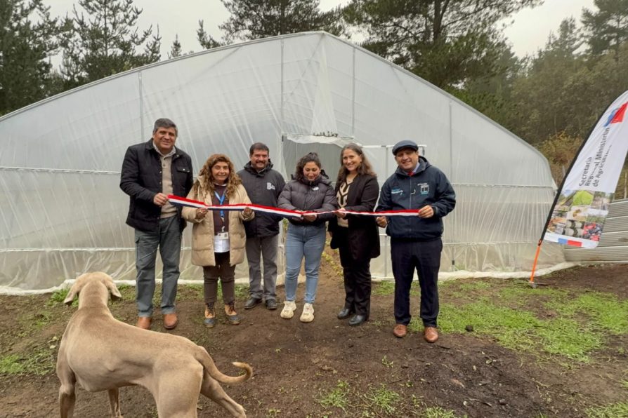 Licantén: Fondo de reconstrucción entregó juegos infantiles e invernaderos a mujeres agricultoras