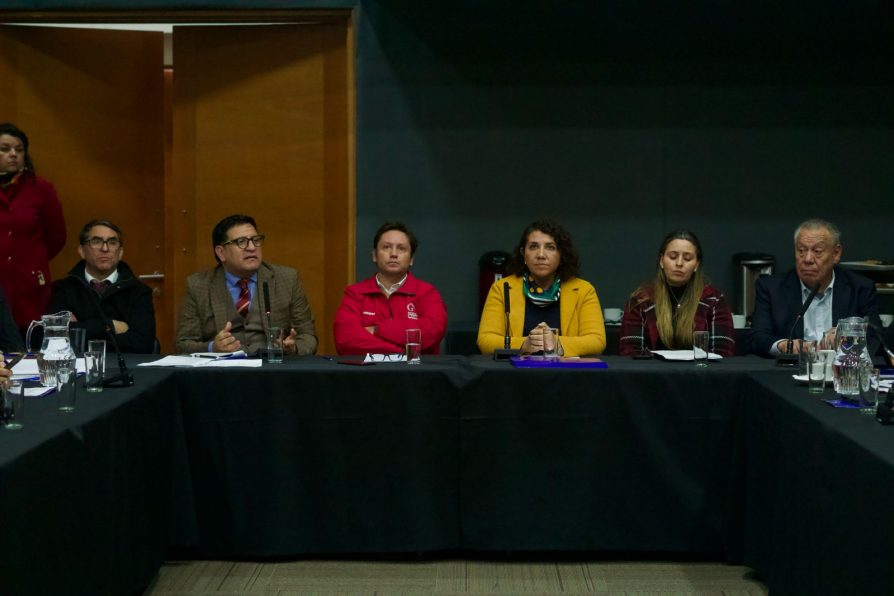 Avanza preparación del Comité de Integración Pehuenche 2025 entre Chile y Argentina 