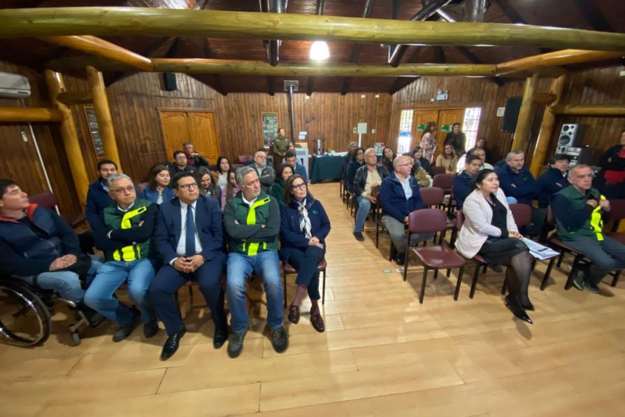 Catastro de CONAF refleja importante cobertura de bosques en territorio maulino