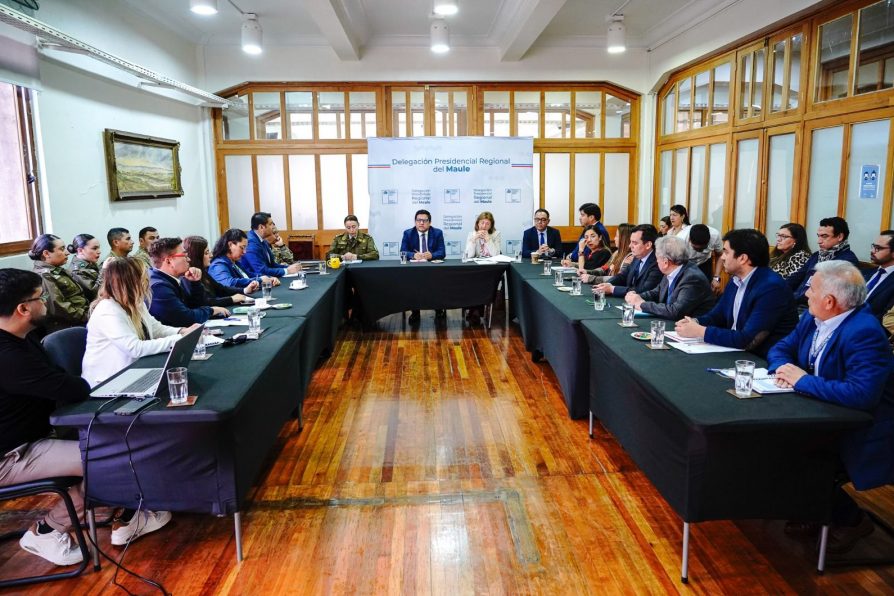 Elecciones presidenciales y parlamentarias 2025: Delegado Aqueveque lideró primera reunión de coordinación