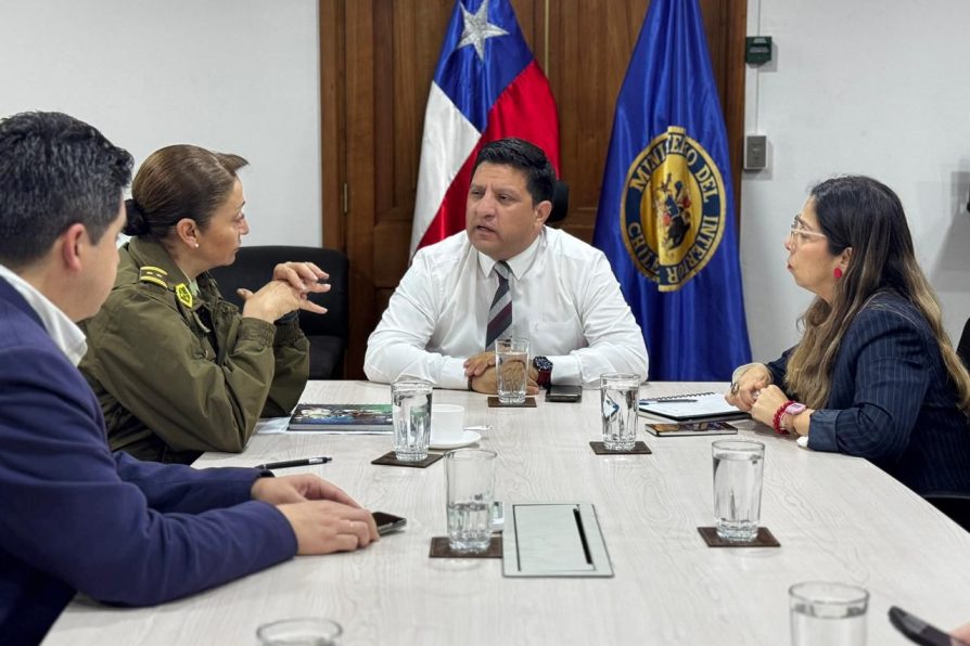 Delegado Aqueveque y elecciones: “Están dadas todas las condiciones para que la ciudadanía asista tranquila a votar”