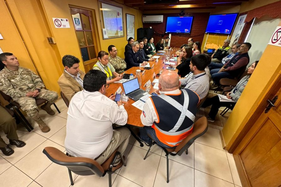 Incendios Forestales: Olas de Calor podrían llegar a los 40° en Maule