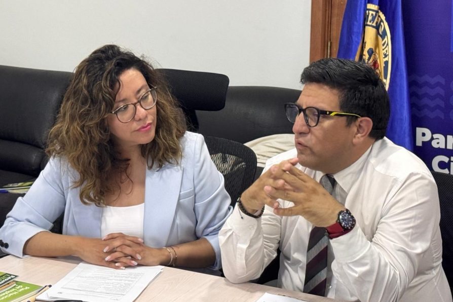 Ministerio del Medio Ambiente abre convocatoria para recambiar calefactores en Talca y Maule