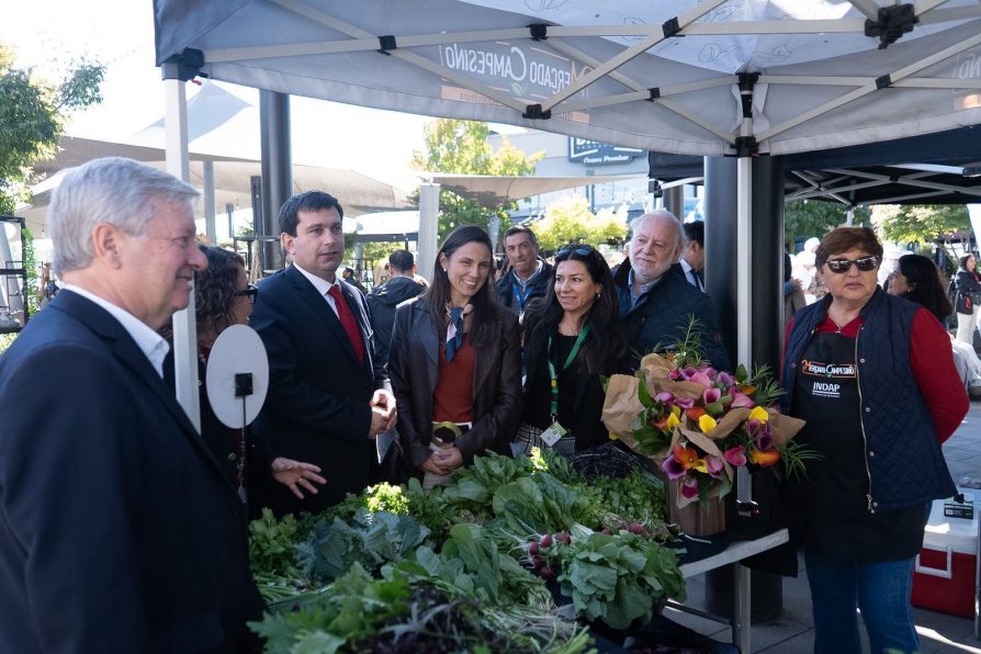 Curicó celebra Día de la Cocina Chilena con foco en la identidad y los productos del Maule